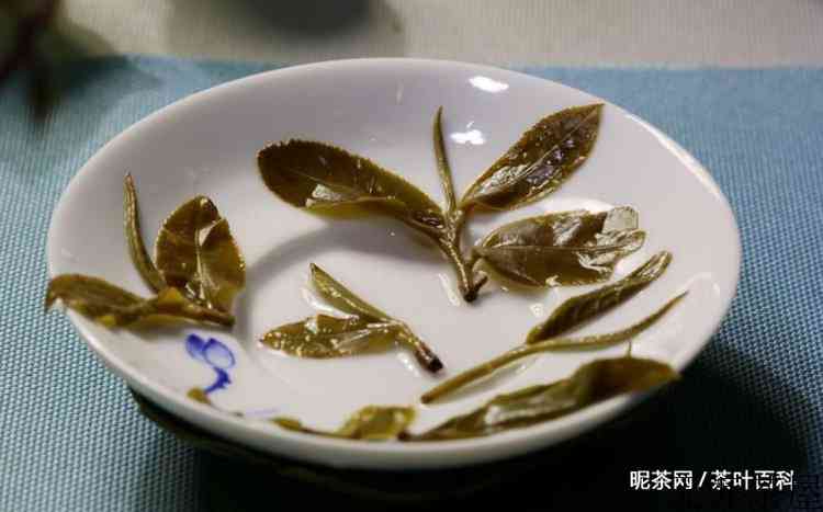 猫耳朵普洱茶味道