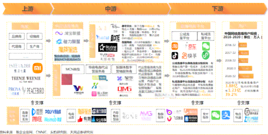 普洱茶直播带货实战技巧：详细解读与成功案例分析