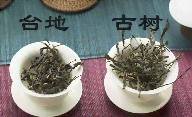 古树牌普洱茶精选茶叶价格指南