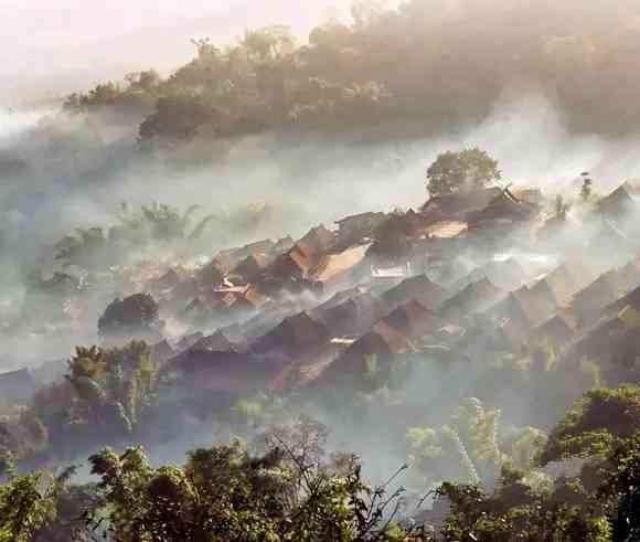 普洱茶区优质景点盘点：探索云南普洱茶产地的美丽风景与文化底蕴