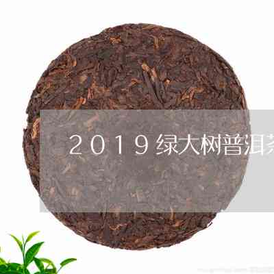 绿大树熟茶特极品：由来与简介