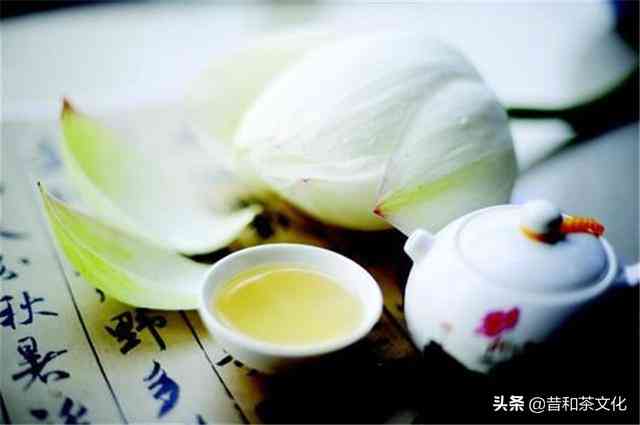 中国普洱茶文化博览园：茶香满溢的文化之旅全攻略