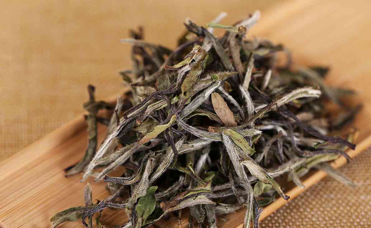 白茶与普洱茶制作对比：一种茶叶的潜在功效探索