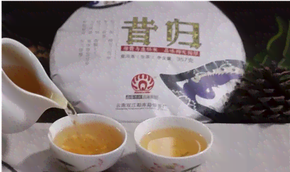 昔归大师级普洱茶