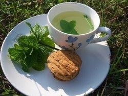 云南香草茶的作用与种类，香草火锅官网及香草茶叶介绍