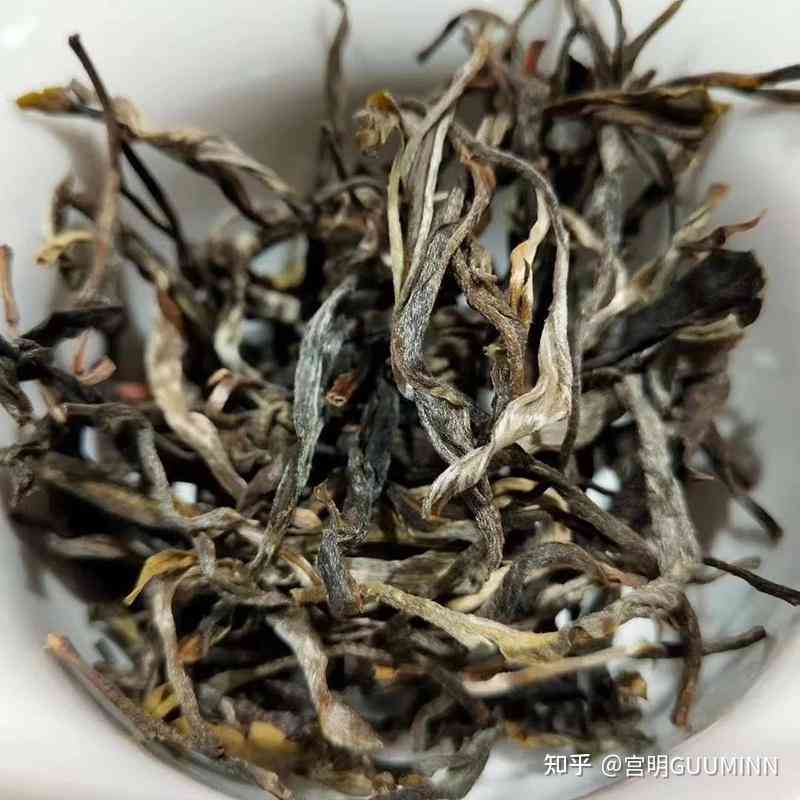 小叶种普洱茶散茶品质与大叶种普洱茶的区别：哪个更好？