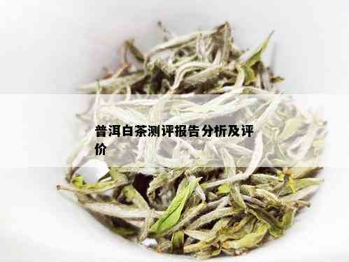 白茶评分更高的普洱茶