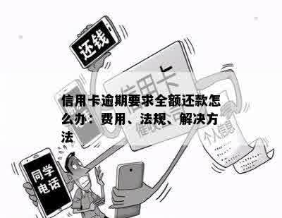 逾期一天后全额还款是否合菏泽广电网信用卡合同法律规定及求全