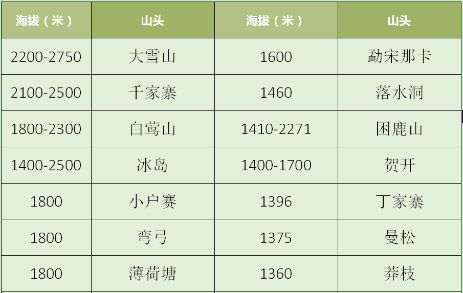 全面解析：普洱茶品种排名及其特点，助您选出最适合的购买茶叶