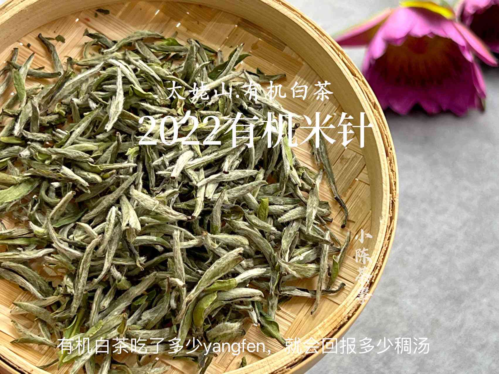 岩茶与普洱茶：哪个更高端？全面比较与分析，解答您的疑问