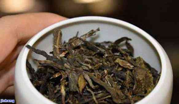 普洱茶的全方位防虫策略：从存到冲泡，让您远离茶叶虫害困扰