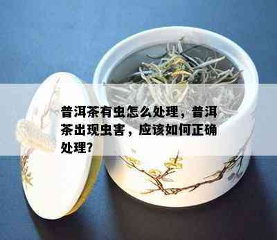 普洱茶的全方位防虫策略：从存到冲泡，让您远离茶叶虫害困扰