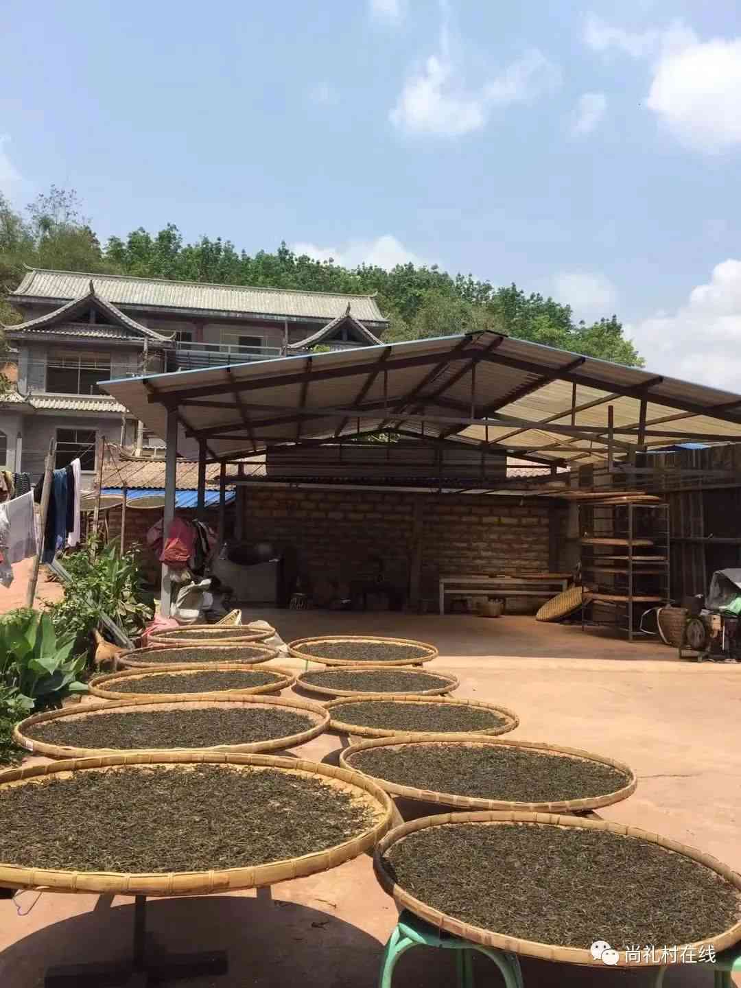 乐山茶文化体验馆：红茶与普洱茶具场，茶叶价格货源尽在