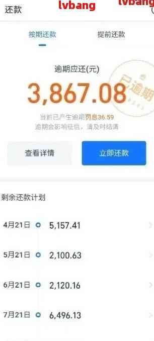 支付宝蚂蚁借呗逾期还款对其他网贷平台借款的影响及解决方案