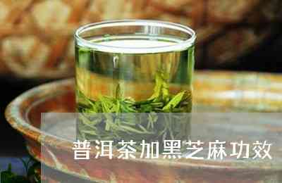 芝麻碎银子普洱茶