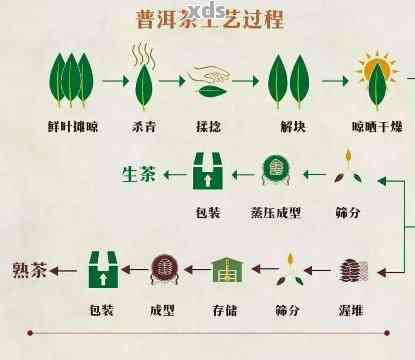 普洱茶一八二五年的历与制作技艺：传统与现代的完美融合