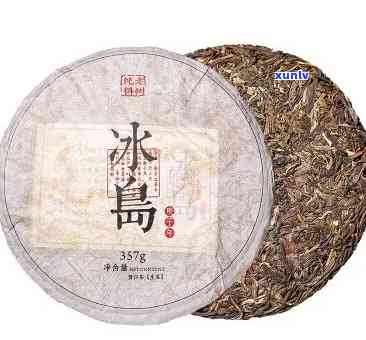 老田探究普洱茶真伪：冰岛茶与普洱茶的真假辨别之道