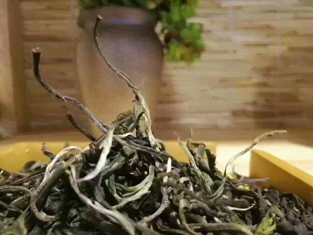 老田讲解普洱茶的真伪：如何鉴别与欣真正的普洱茶？