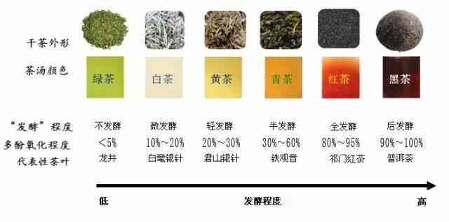 全球茶王品种、价格及品鉴指南：一站式了解茶叶世界的更高品质