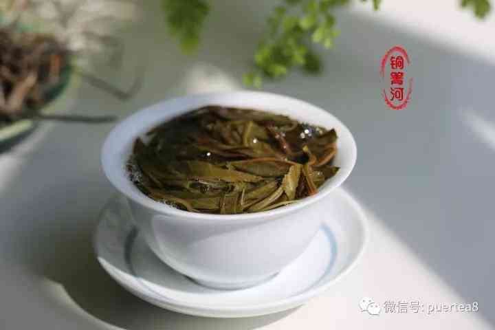 铜箐河古树普洱茶：源头精选，品质越，茶叶故事丰富的醇香之选