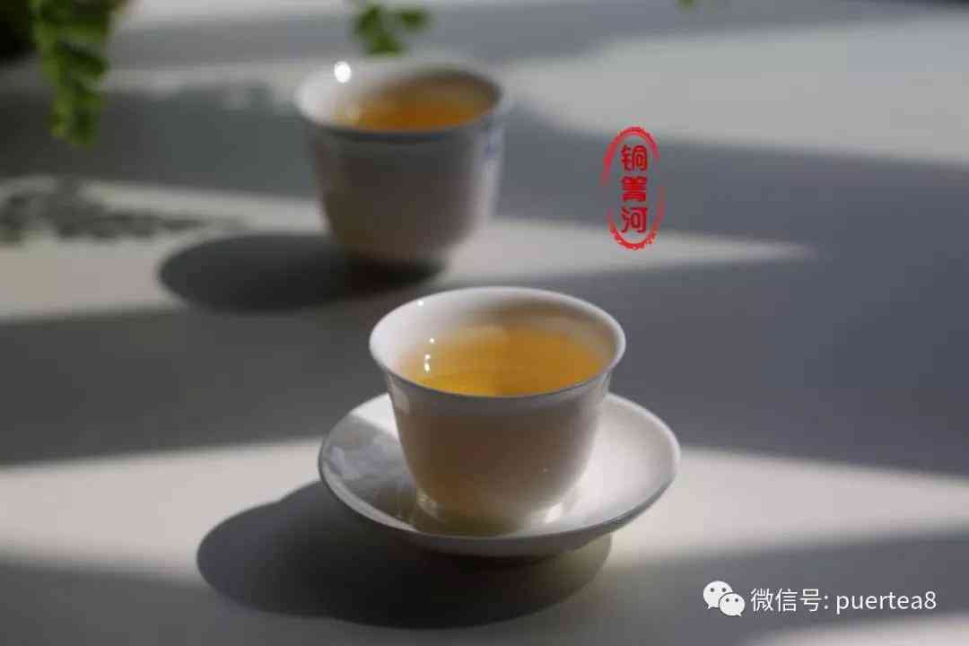 铜箐河木普洱茶价格