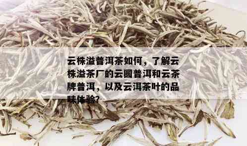 普洱茶白色云纹：是什么茶叶品种制成的？