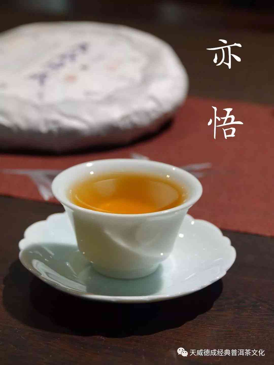 普洱茶爱好者的直播互动平台 - 中国普洱茶权威推荐与排行