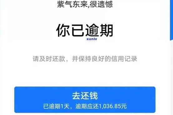 支付宝借呗逾期一天的影响：一次逾期是否会导致严重后果？