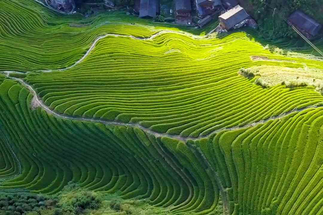 桂林阳朔购买的翡翠