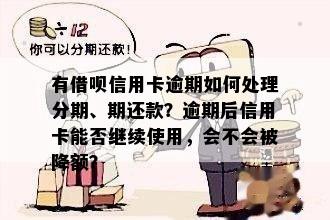 省呗信用卡还款时间与逾期处理策略分析