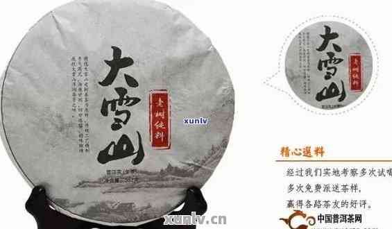 大雪山普洱茶生茶价格与特点，357克售价及2016年行情分析，正确的品饮方式