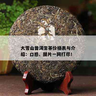 大雪山普洱茶生茶价格与特点，357克售价及2016年行情分析，正确的品饮方式