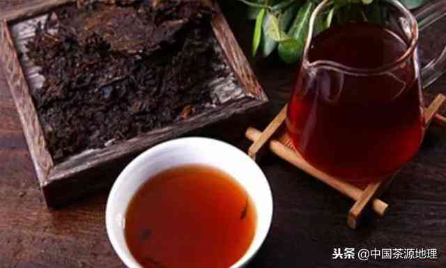 银嘉茶业普洱茶口感怎么样？好喝吗？