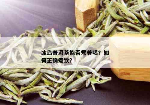 冰岛普洱茶能煮么