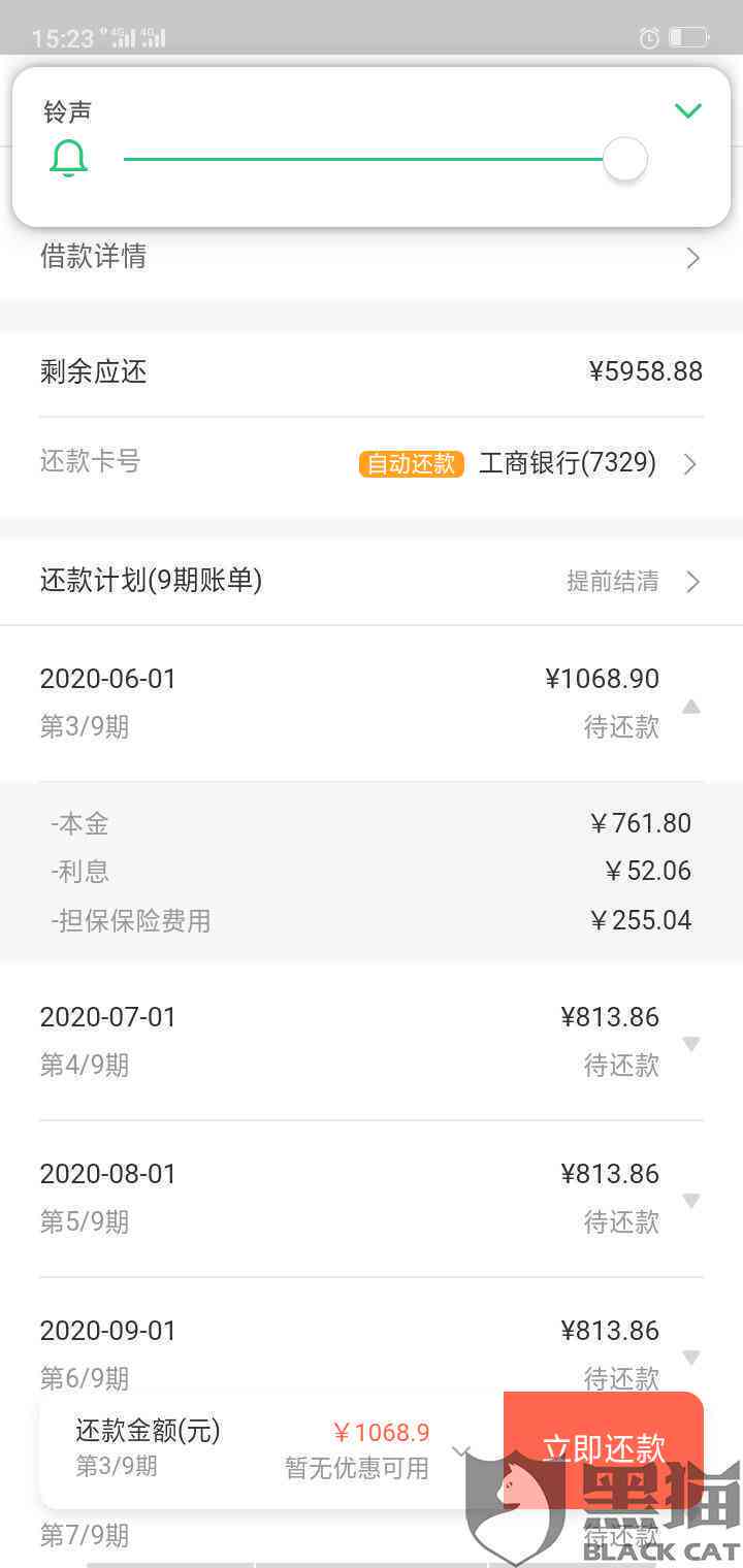 借款10,000元，36个月分期还款计划