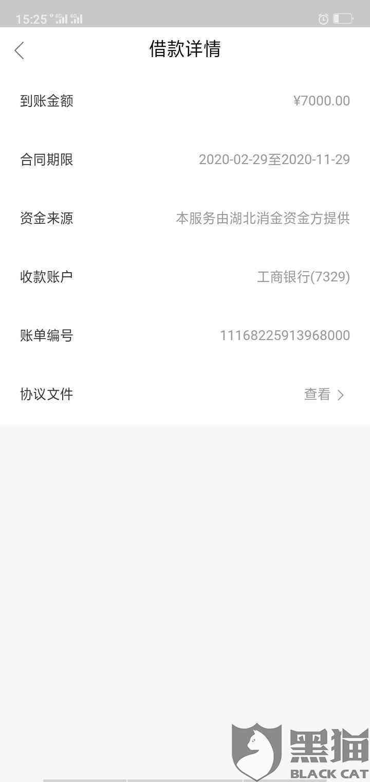 借款10,000元，36个月分期还款计划