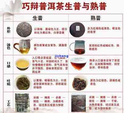 什么样的茶叫普洱茶？普洱茶的分类及其口感评价标准是什么？