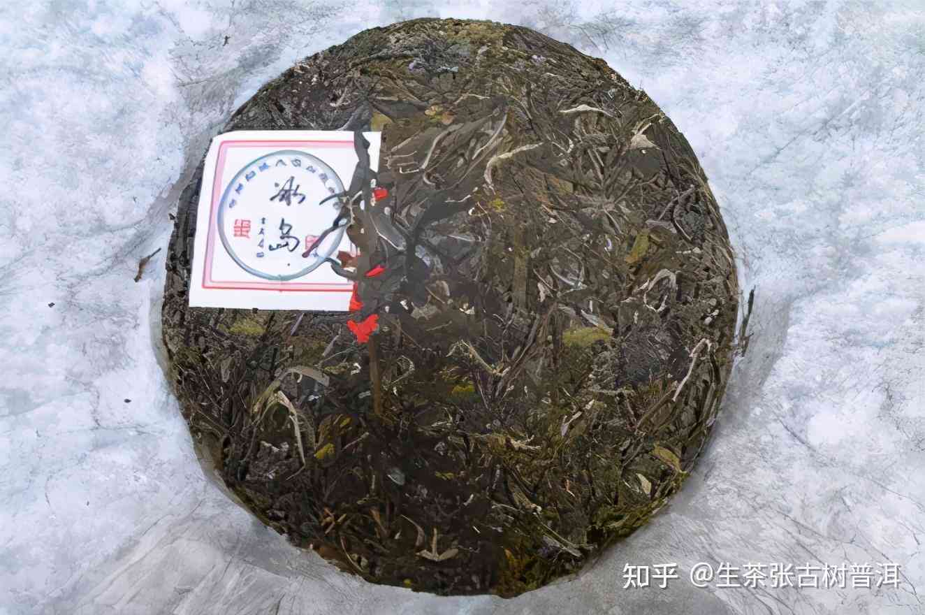 什么茶能冒充普洱茶呢