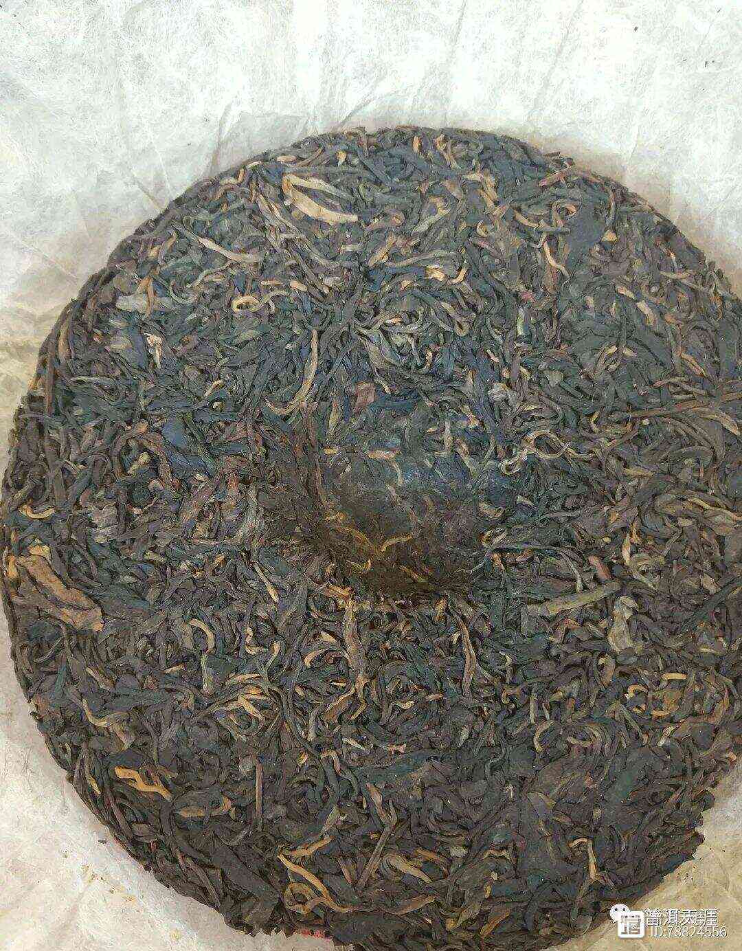 什么茶能冒充普洱茶呢