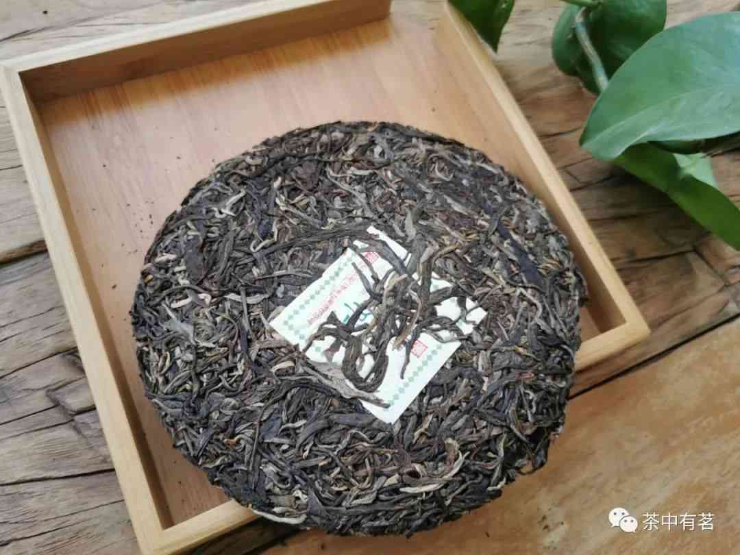 云南老树普洱茶饼生茶叶的价格及特点