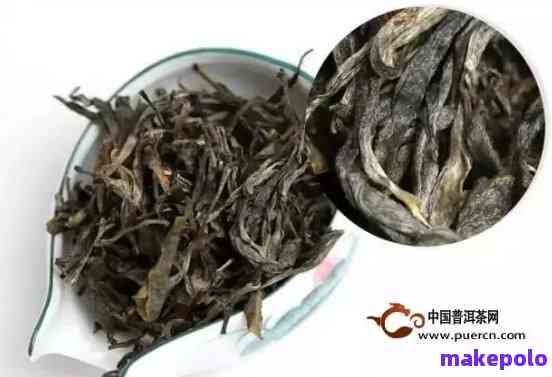 如何辨别普洱茶与冒充品？多种茶叶特点对比解析