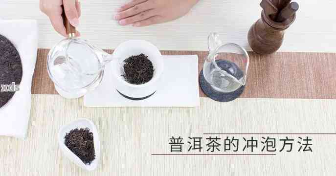 普洱茶冲泡方法与器具全面解析：如何选择冲泡方式与工具