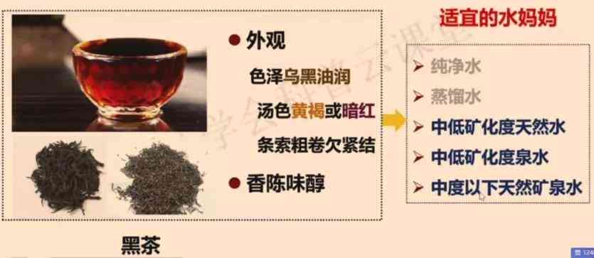 普洱茶用什么冲泡：搭配与水质选择