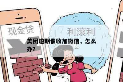 如何应对美团逾期款项并防止被加微信？全面解答与建议