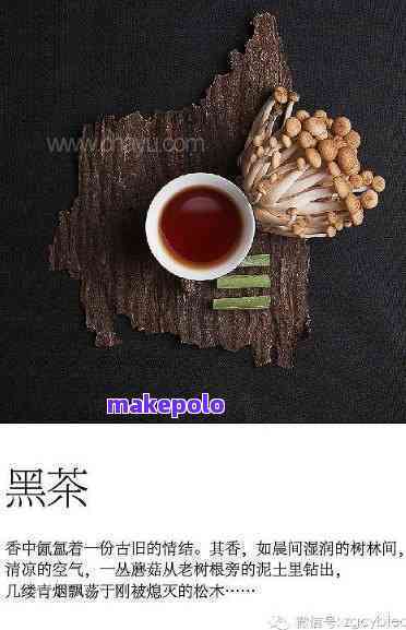 二哥带你喝普洱茶的说说搞笑文案：品味人生，从一杯普洱茶开始