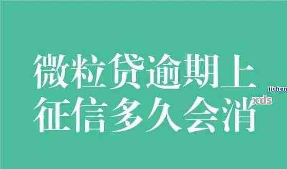 微粒贷逾期五天可能导致的后果及其解决办法：一份全面的问答解析