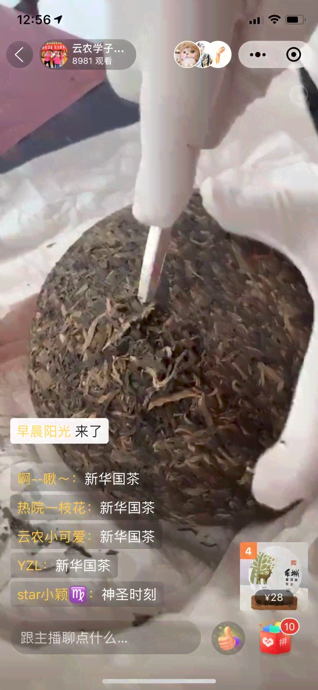 茶普洱茶直播云南