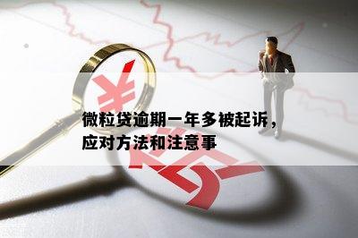 微粒贷逾期一年后果分析：是否会被起诉及如何解决