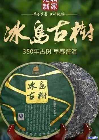 '普洱源头茶业：有机认证冰岛老寨茶叶产品'