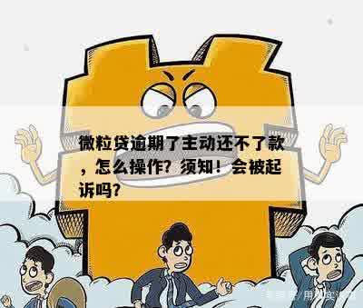 微粒贷逾期了主动还不了款，怎么操作？